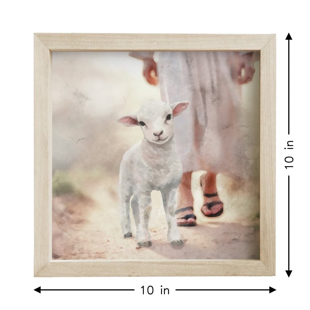 Lamb Walking On Path