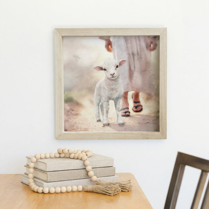 Lamb Walking On Path