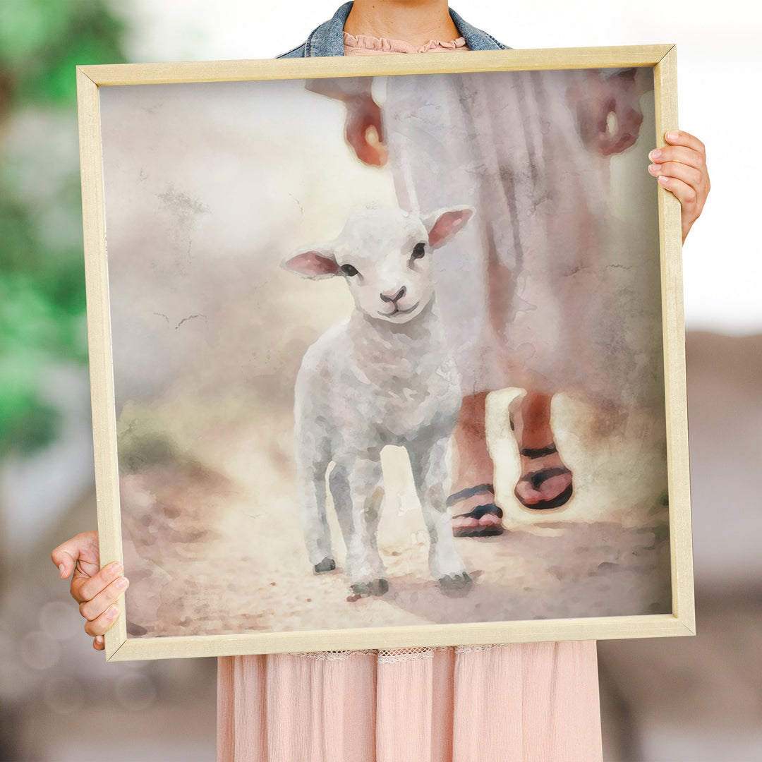 Lamb Walking On Path