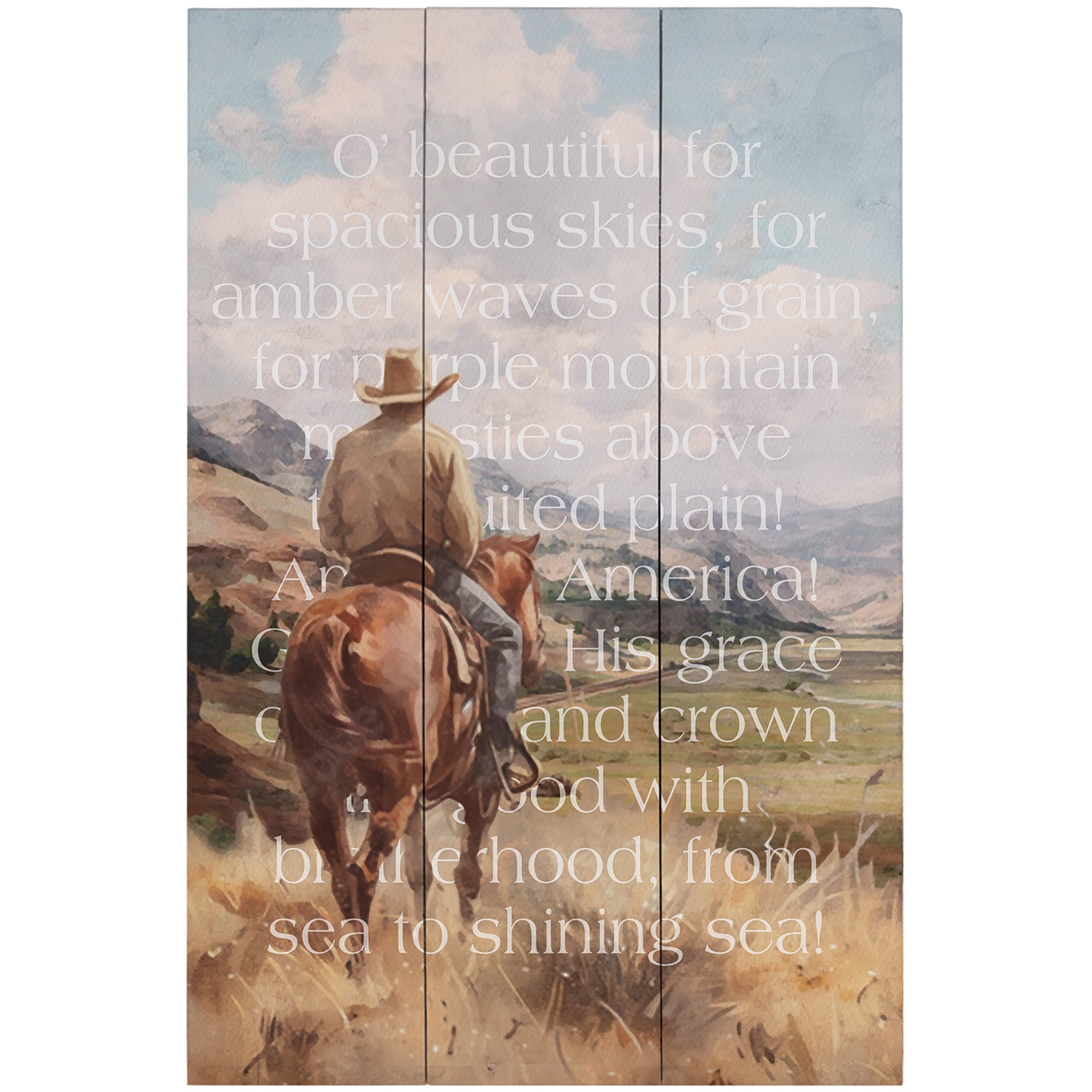 America Beautiful Cowboy