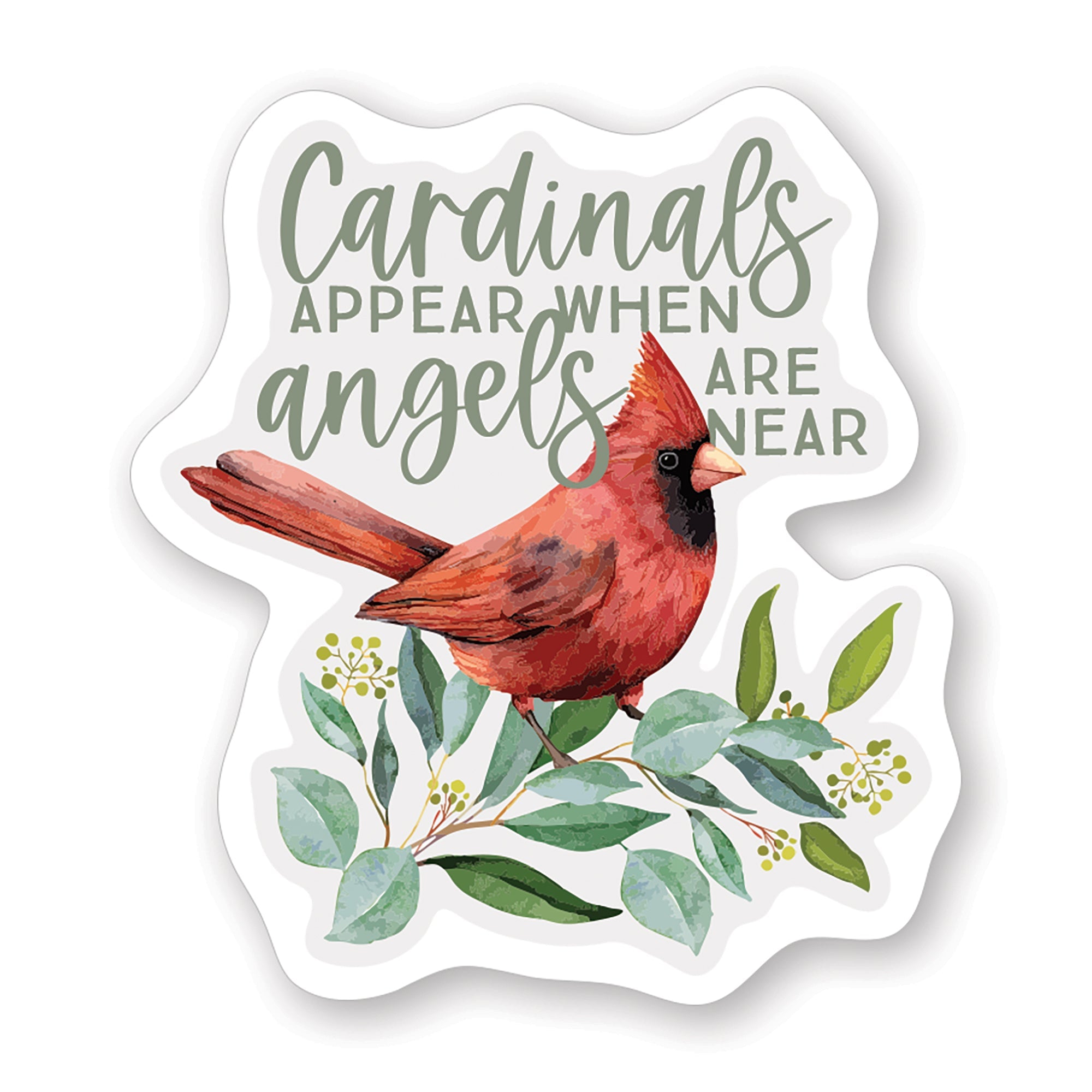Angels Appear Cardinal
