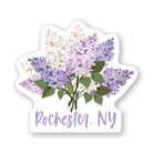 Lilacs Location LOC