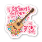 Wildflowers Guitar