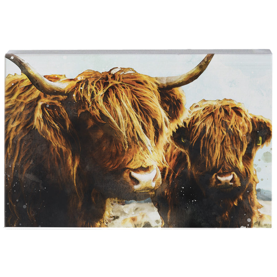 Springbok 500 Piece Jigsaw Puzzle – Highland Cows In The Countryside, Vibrant Scottish Landscape Art
