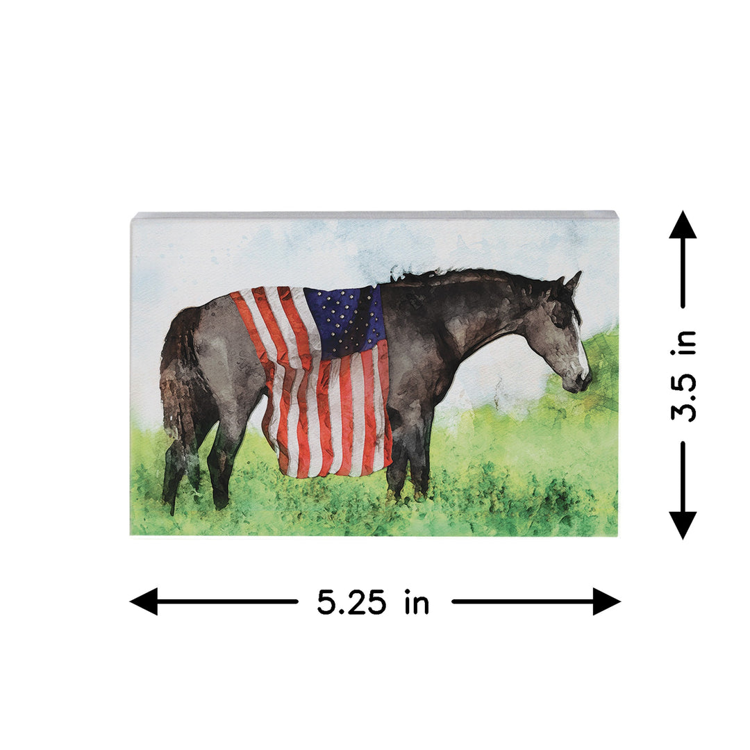 American Flag Horse
