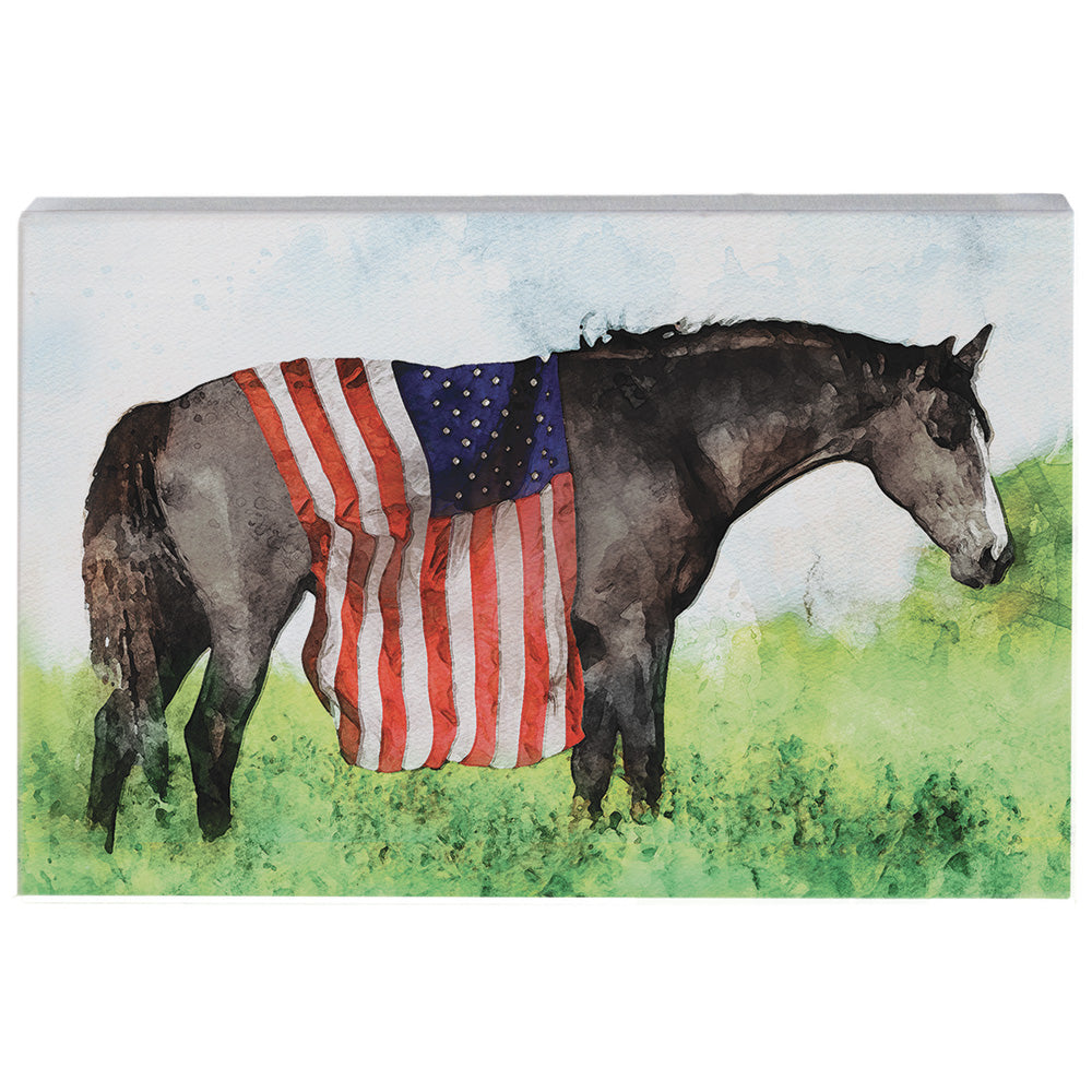 American Flag Horse