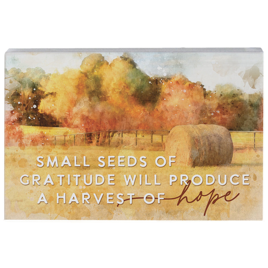 Harvest Of Hope Field