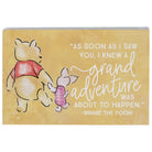 Pooh Piglet Adventure