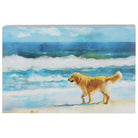 Beach Dog Scene