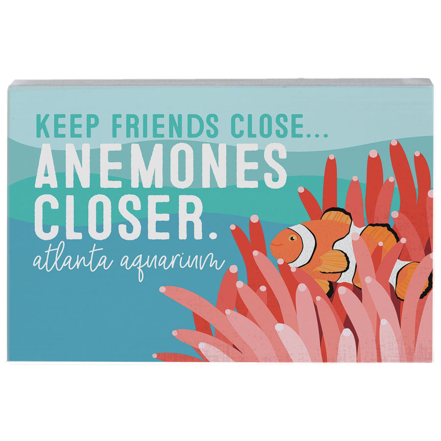 Anemones Closer LOC
