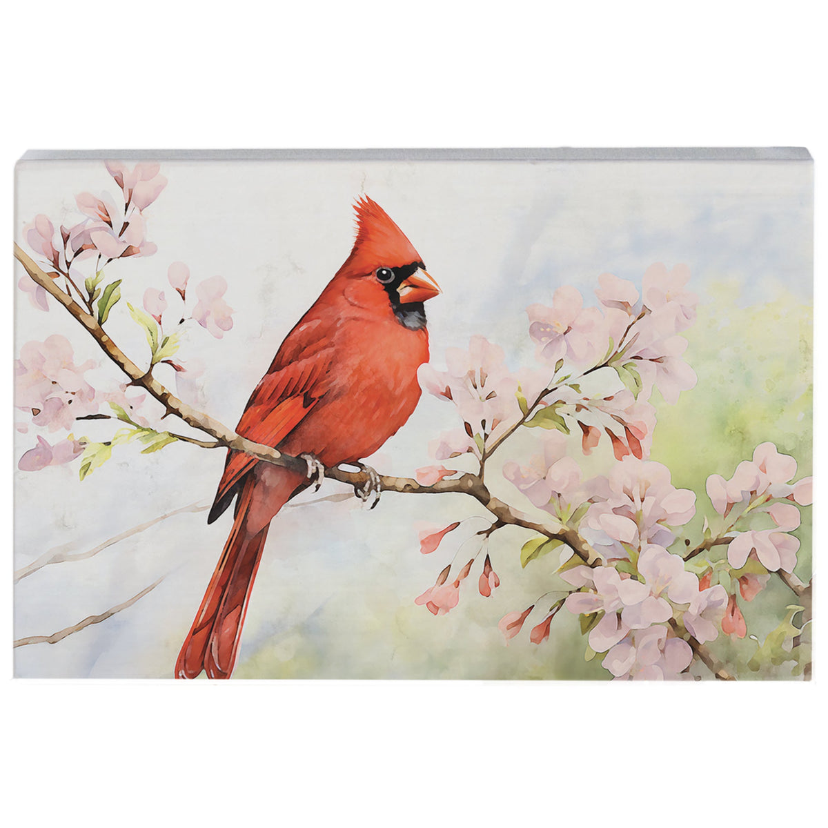 Cherry Blossom Cardinal