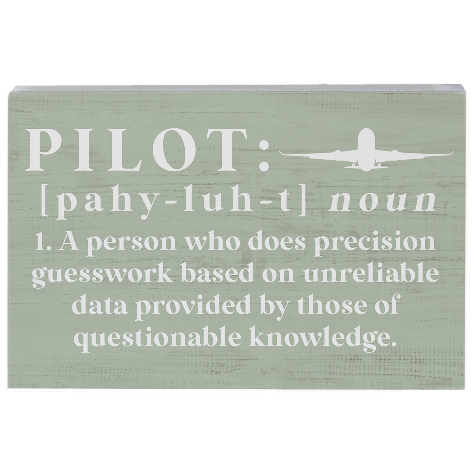 Pilot Definition