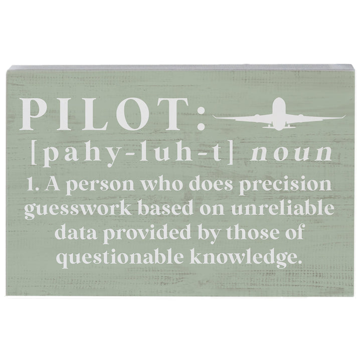Pilot Definition