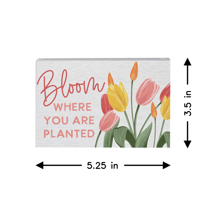 Bloom Where Planted