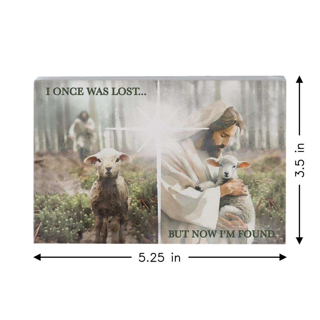 Lost Found Lamb