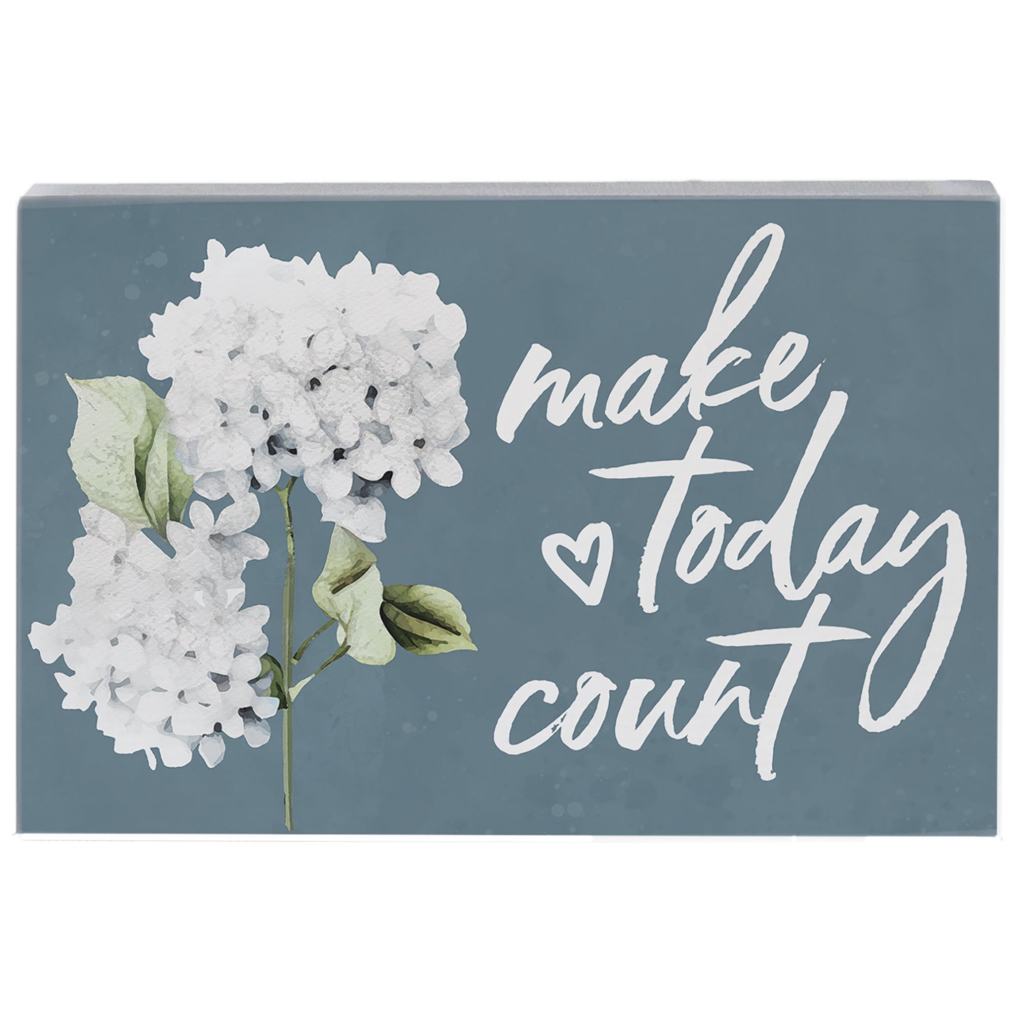 Today Count Hydrangeas