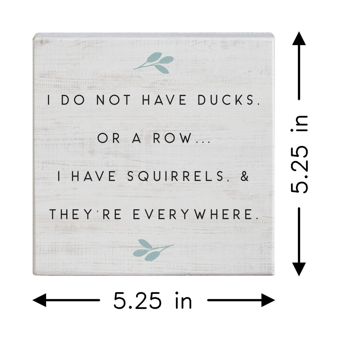 Squirrels Everywhere