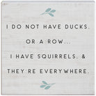 Squirrels Everywhere