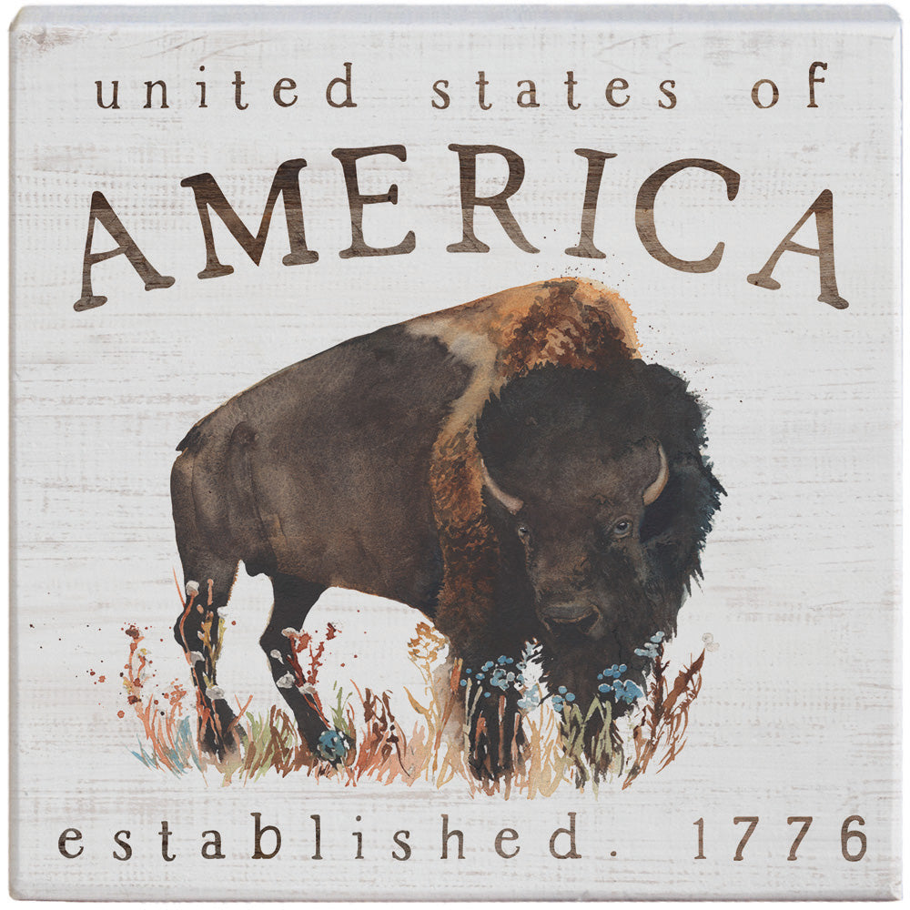 America Buffalo