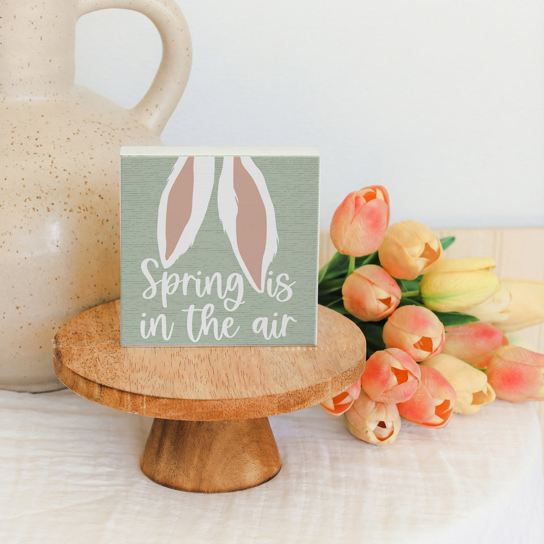 Spring In Air Ears