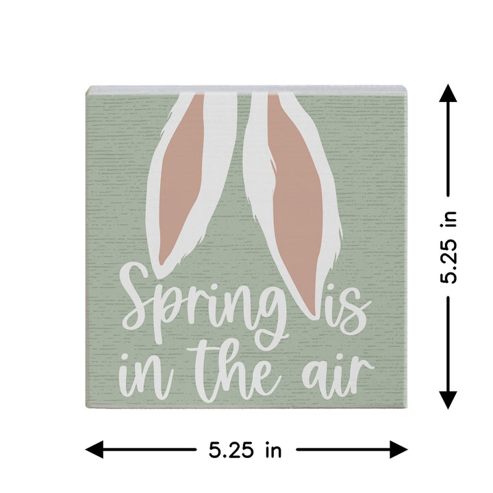Spring In Air Ears