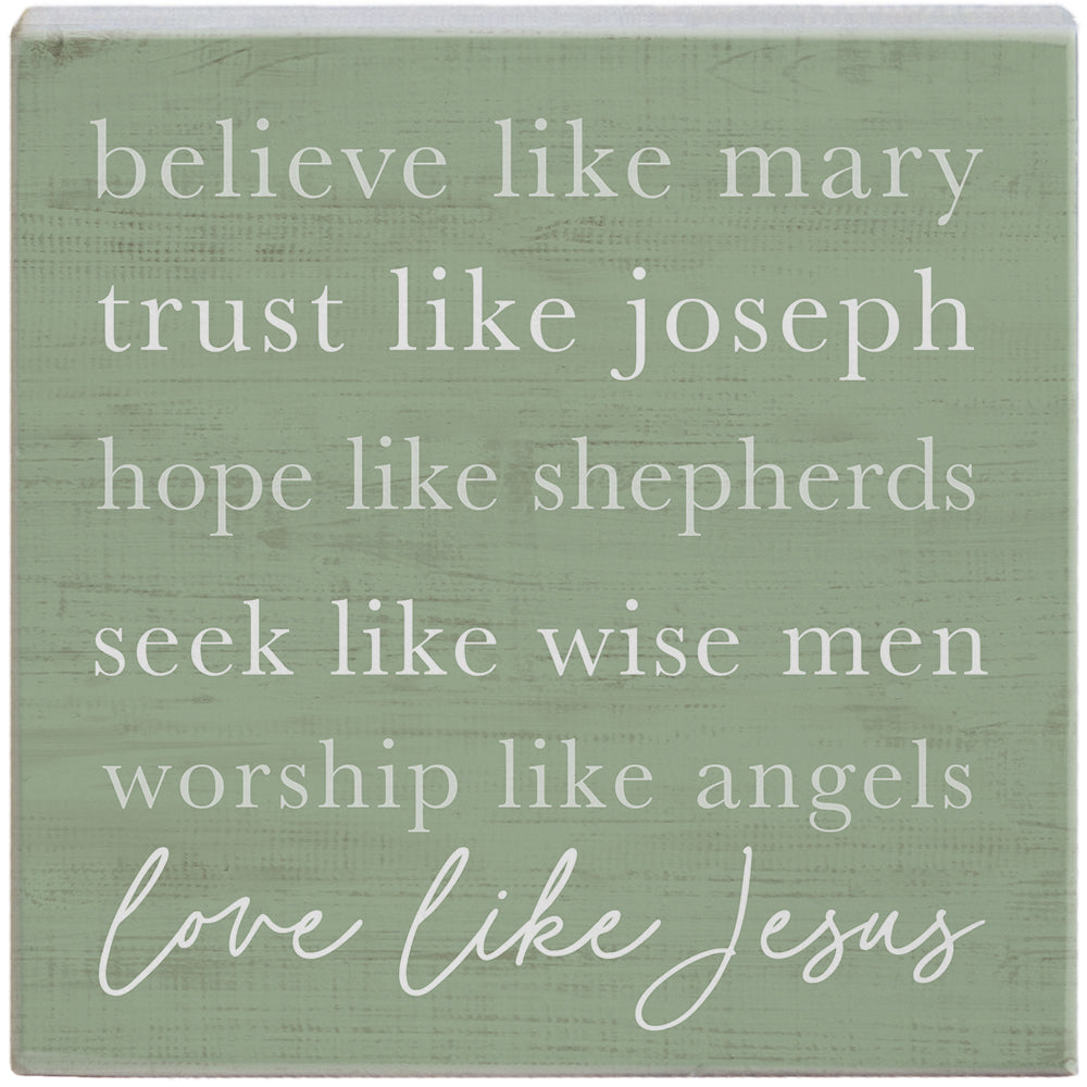 Believe Like Mary