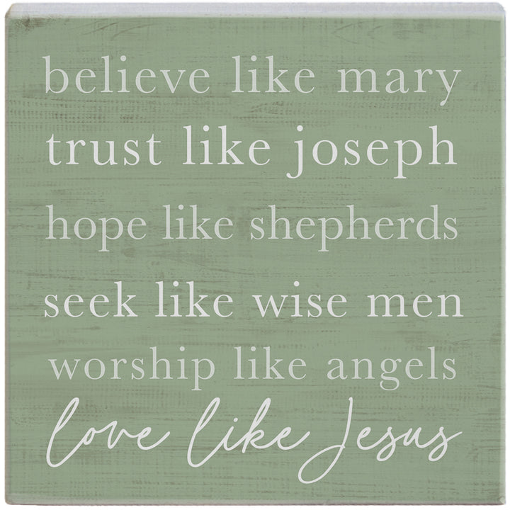 Believe Like Mary