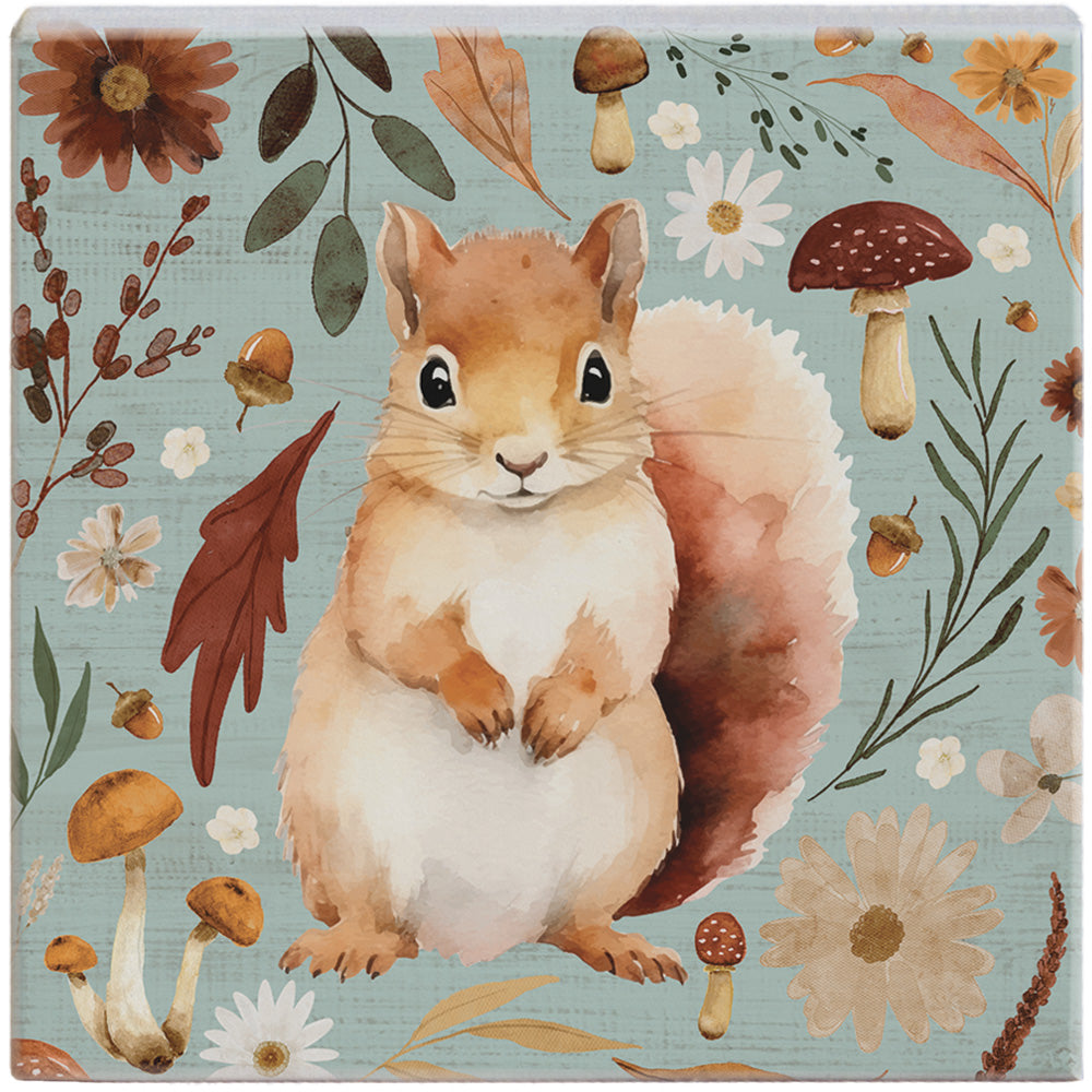 Woodland Squirrel