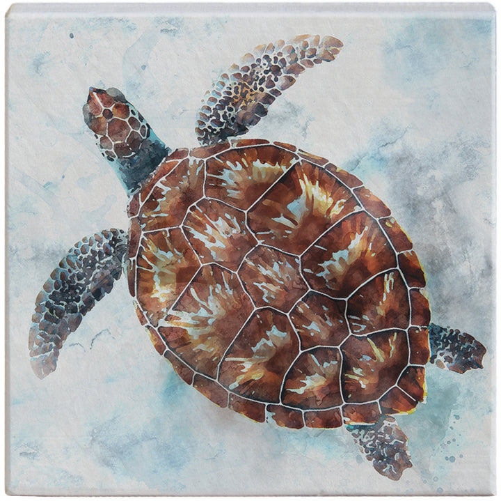 Watercolor Turtle