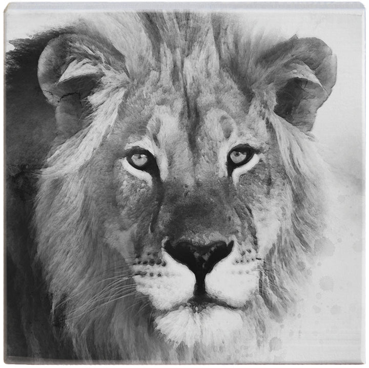 B&W Lion