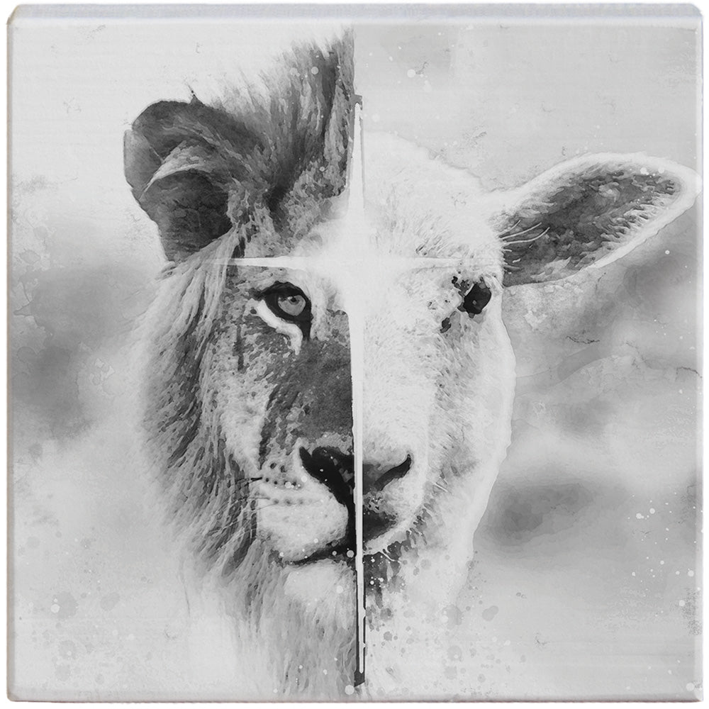 B&W Lion Lamb