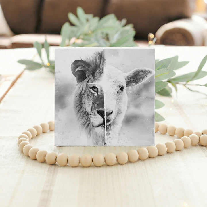 B&W Lion Lamb