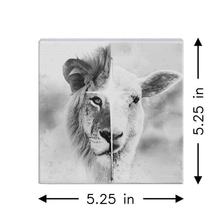 B&W Lion Lamb