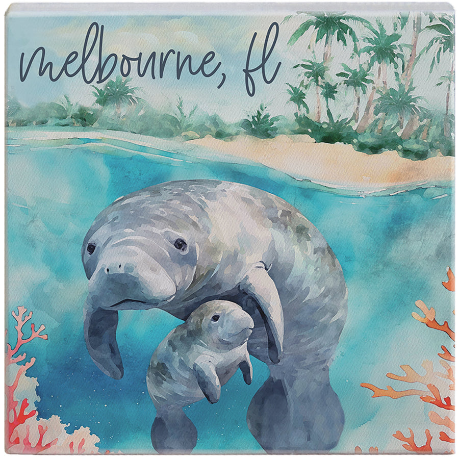 Manatees Beach Scene LOC