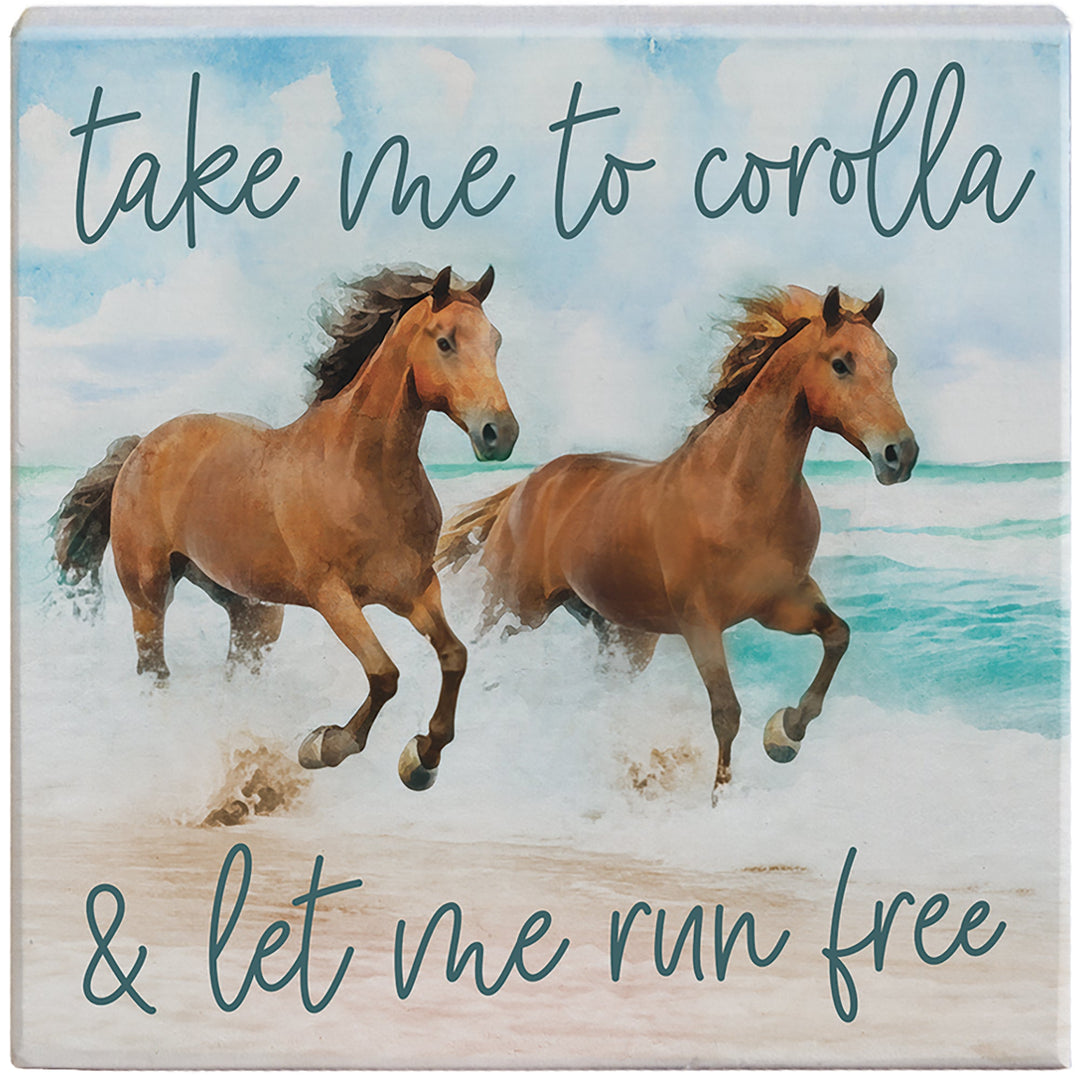 Take Me Beach Horses LOC