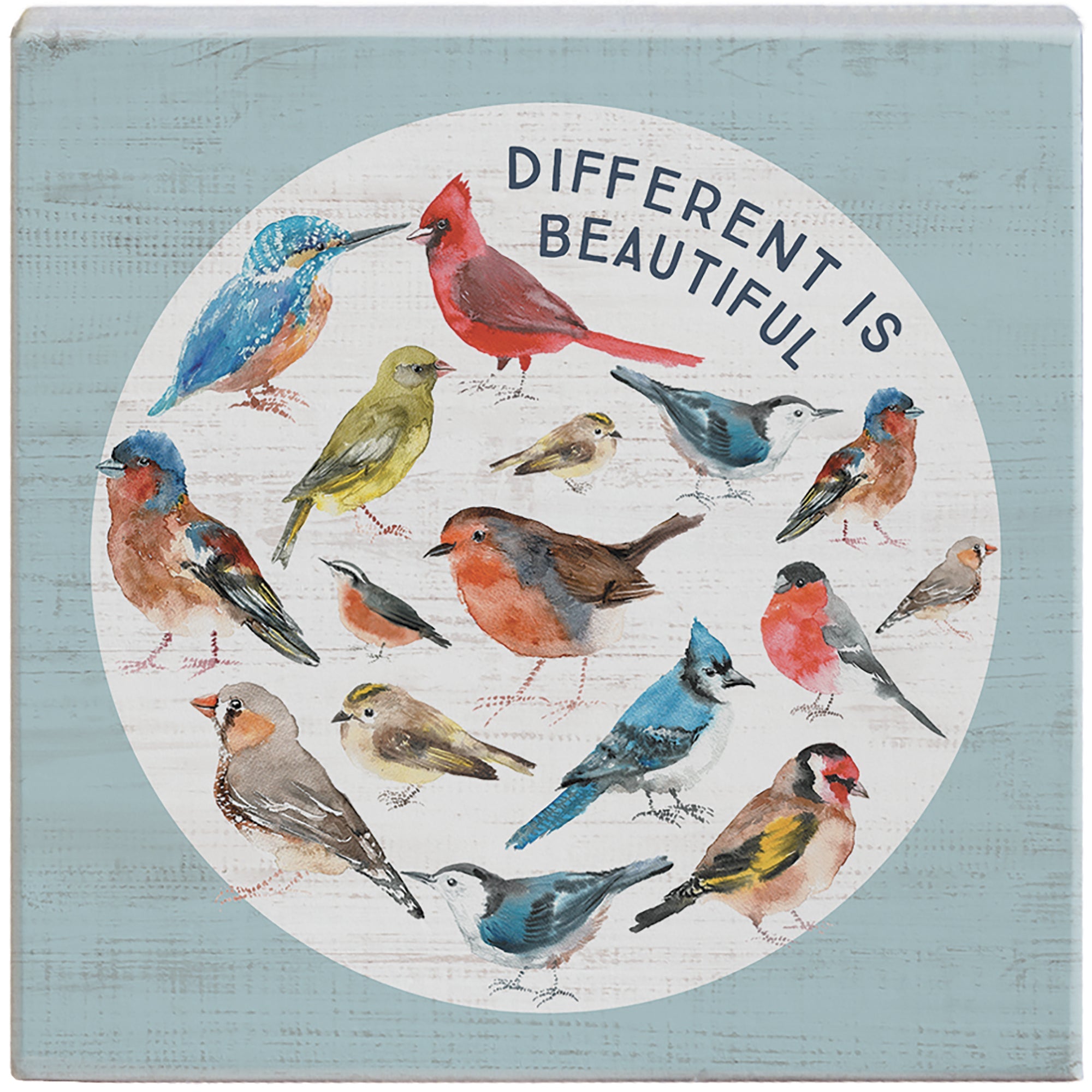 Different Beautiful Birds