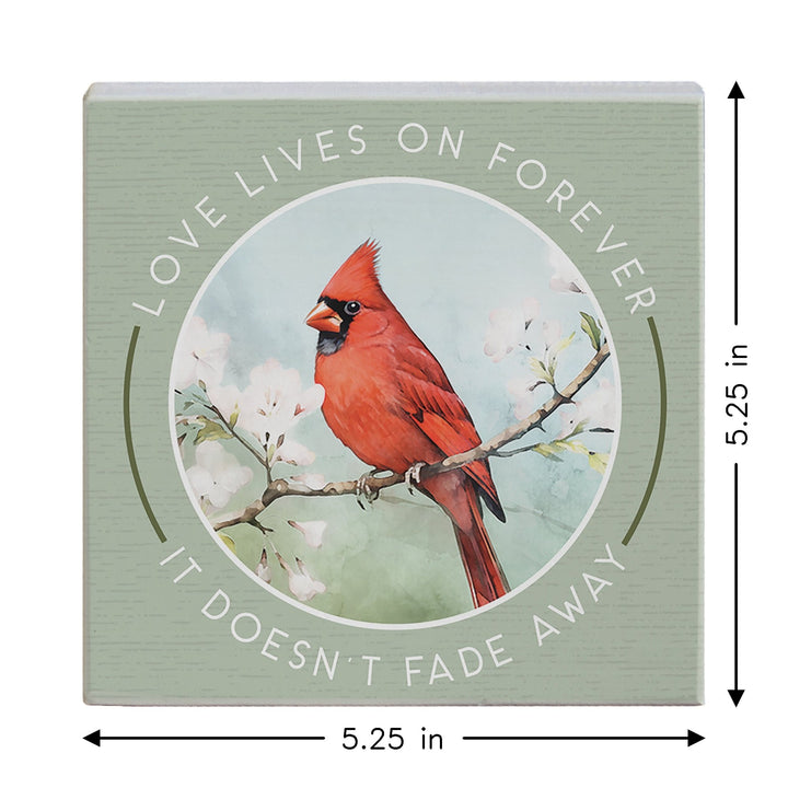 Love Lives On Cardinal