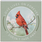 Love Lives On Cardinal