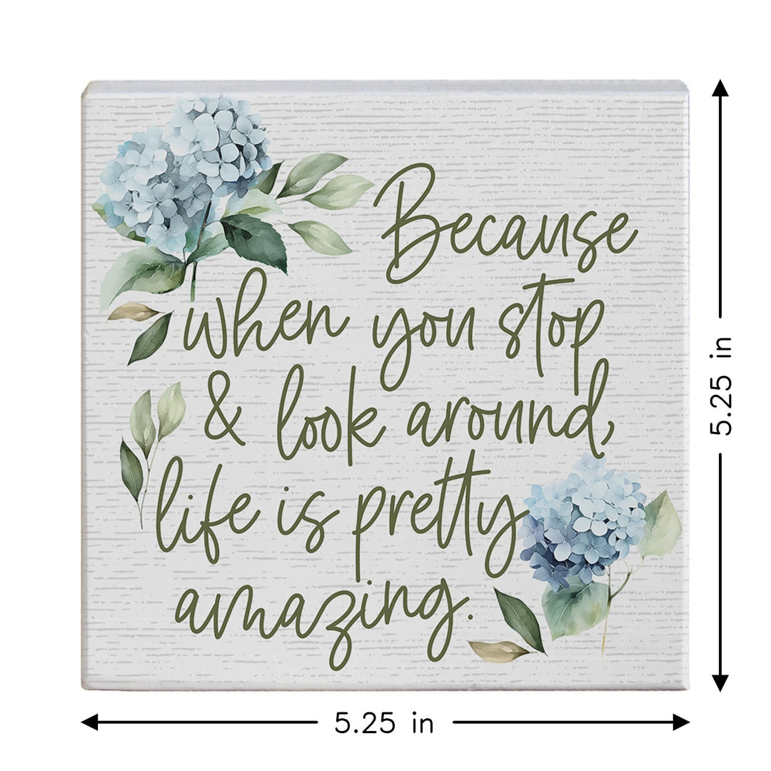 Life Amazing Hydrangeas