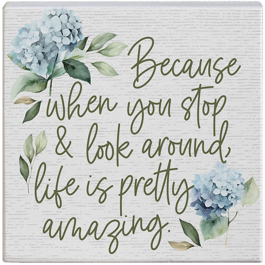 Life Amazing Hydrangeas