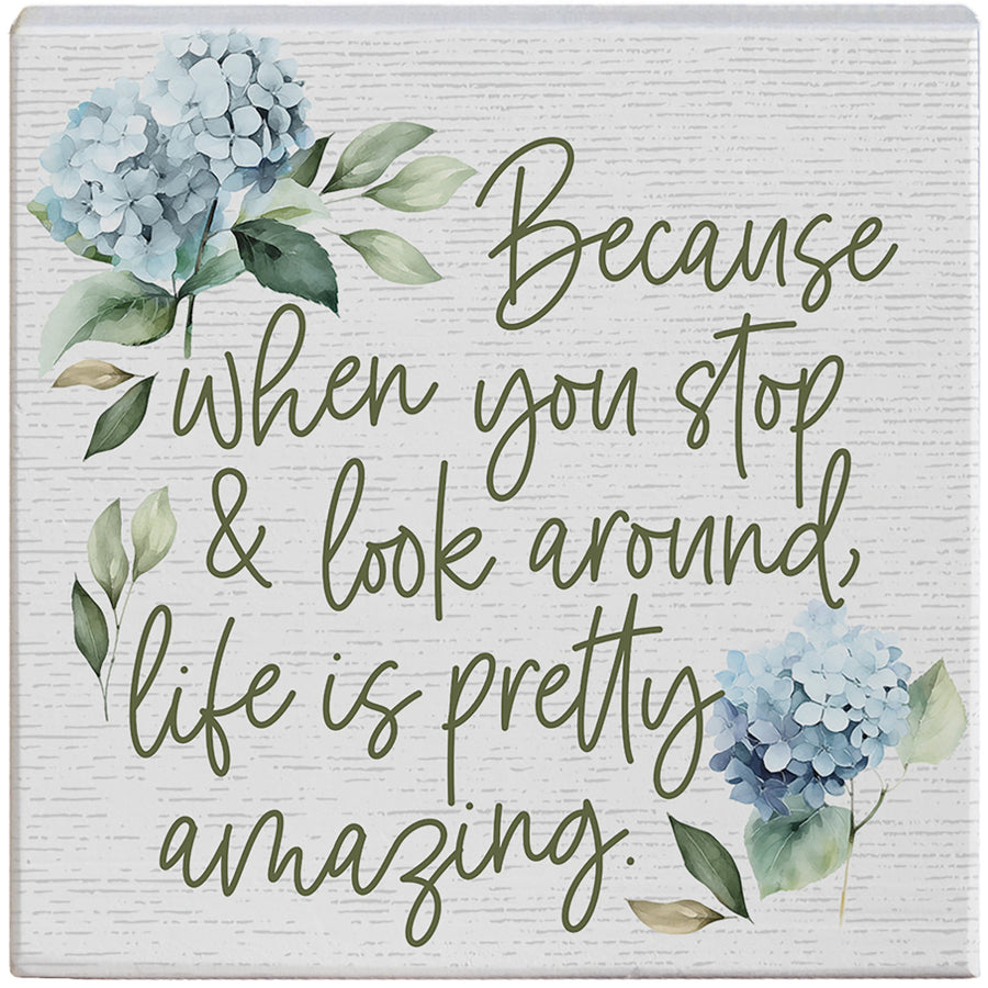 Life Amazing Hydrangeas