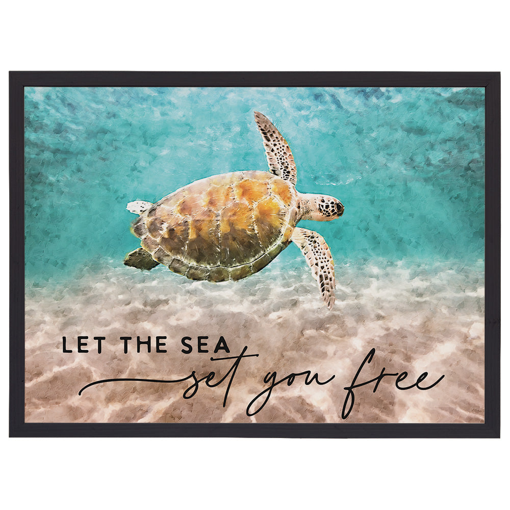 Turtle Set You Free