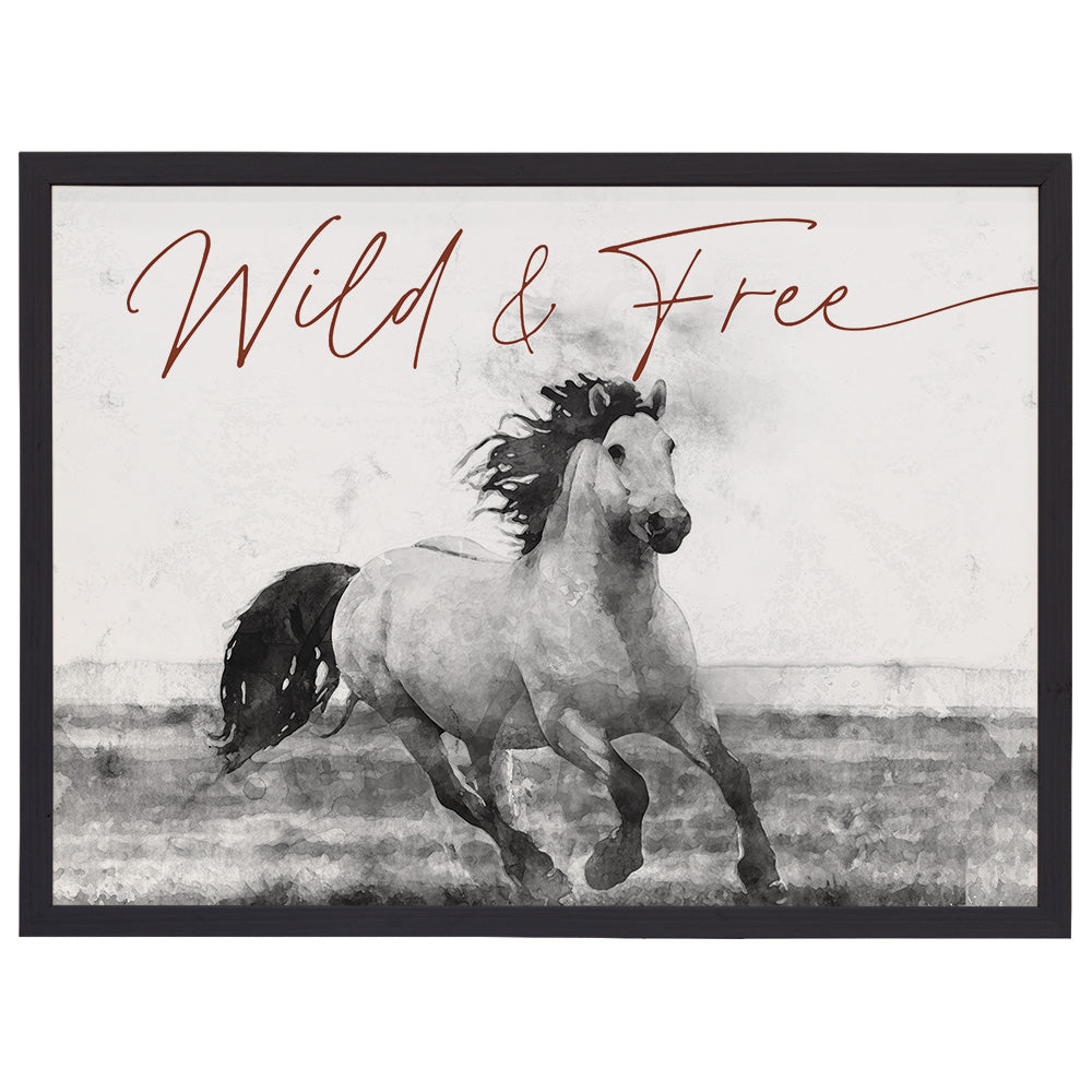 Wild Free Horse