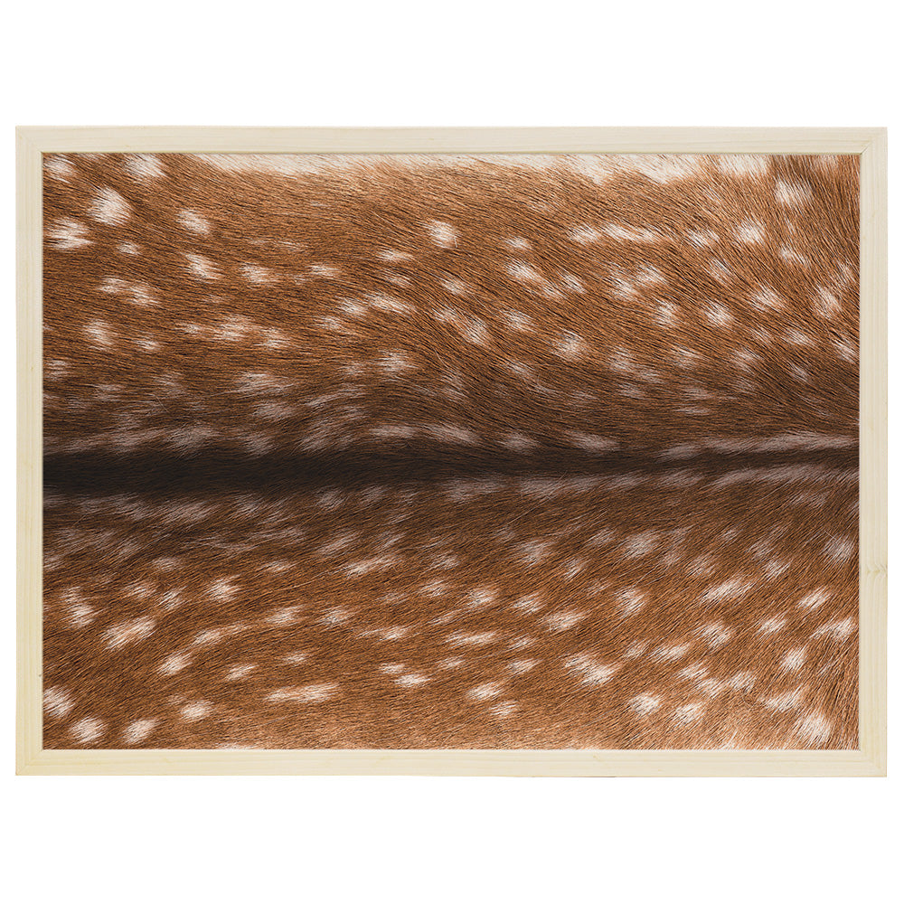 Axis Deer Hide