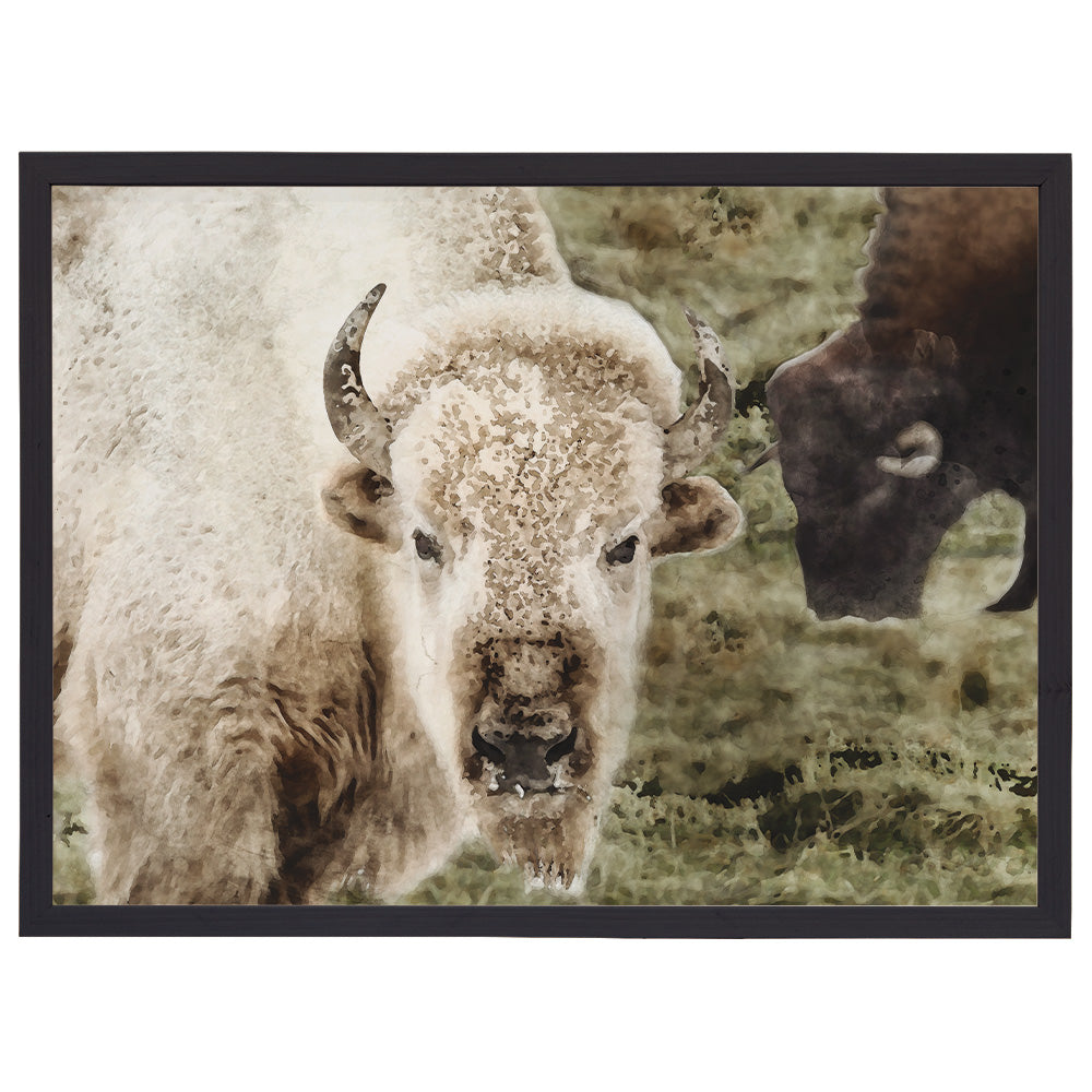 White Bison Watercolor