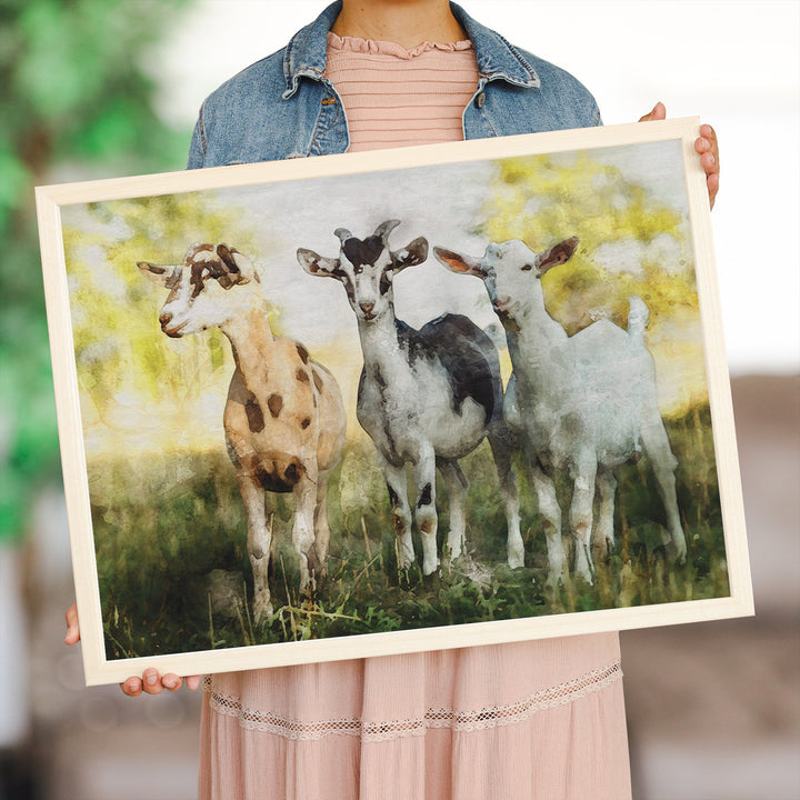 Little Goats