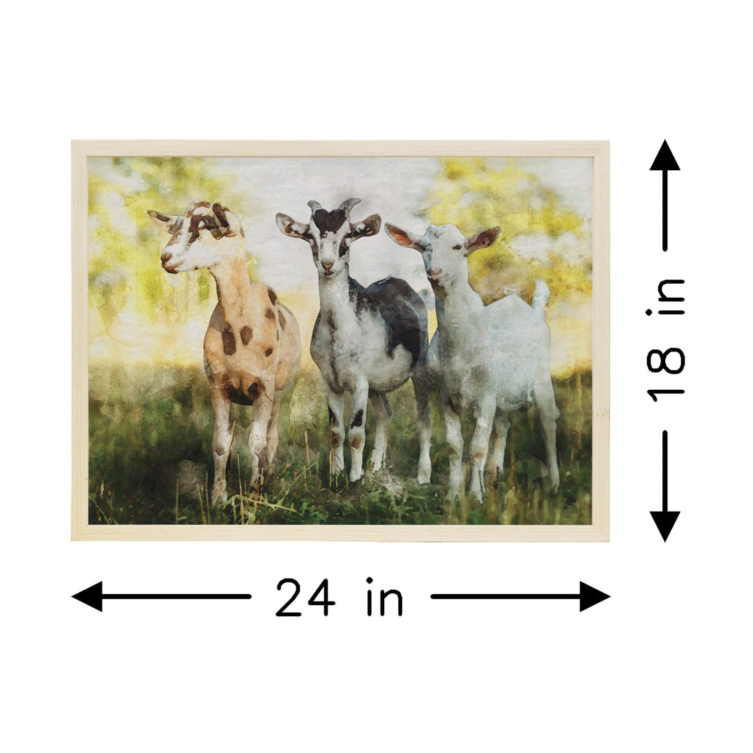 Little Goats