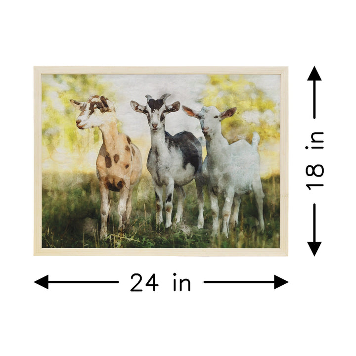 Little Goats