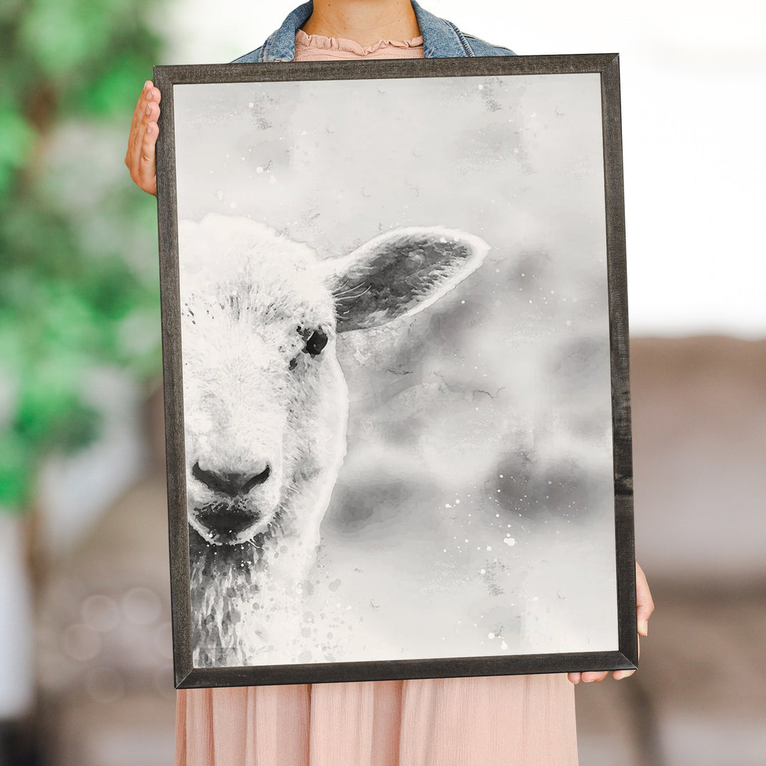 B&W Lamb