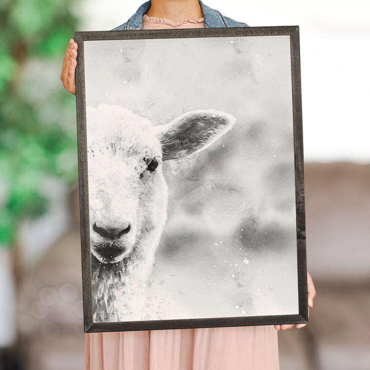 B&W Lamb